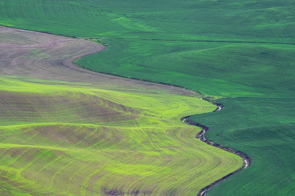 Palouse Στα Τέλη Της Άνοιξης Στην Πολιτεία Της Ουάσιγκτον — Φωτογραφία Αρχείου