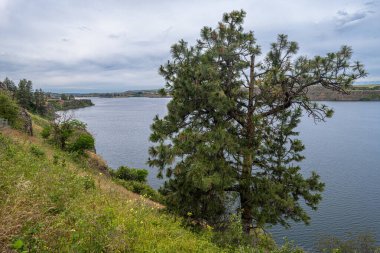 Washington 'daki Rock Gölü