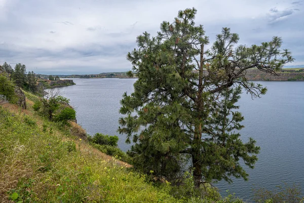 Washington 'daki Rock Gölü