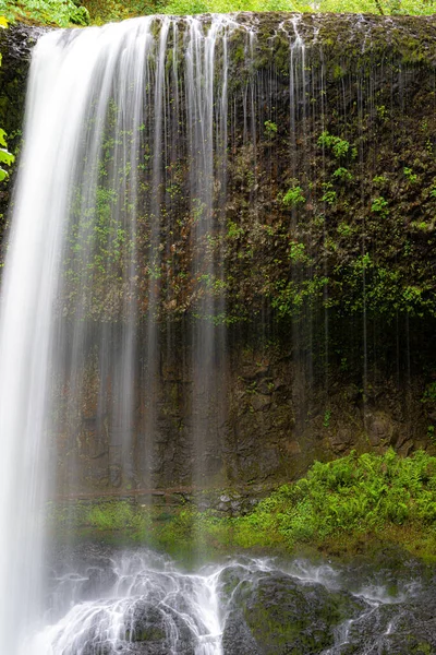 Waterfall Silver Falls State Park Oregon — Stockfoto