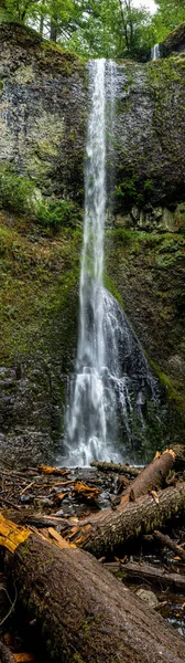 Double Falls Silver Falls State Park Oregon — Zdjęcie stockowe