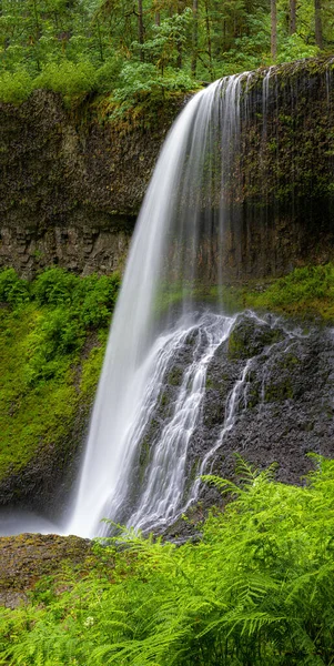 Drake Falls Silver Falls State Park Oregon — Stock fotografie