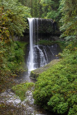Drake Falls Silver Falls Eyalet Parkı, Oregon 'da