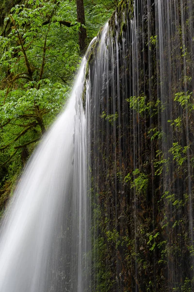 Drake Falls Silver Falls State Park Oregon — Fotografia de Stock