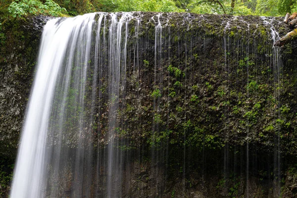 Drake Falls Silver Falls State Park Oregon — Stock fotografie