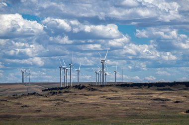 Columbia Nehri boyunca Oregon 'da yel değirmenleri