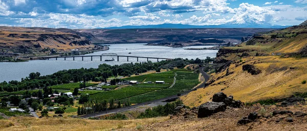 Columbia River Sam Hill Memorial Bridge Hood Back —  Fotos de Stock