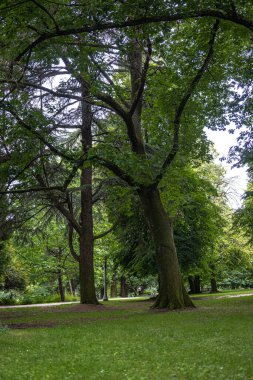 Laurelhurst Park in Portland, Oregon