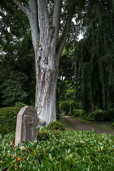 Кладовище Йоганнісфрідгоф Білефельді Німеччина — стокове фото