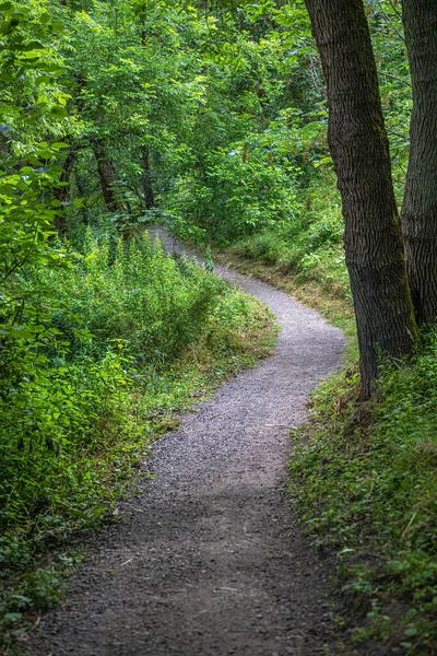 Walkway Oaks Bottom Wildlife Refuge Portland Oregon — Foto Stock