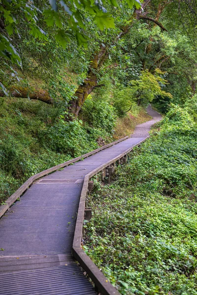 Walkway Oaks Bottom Wildlife Refuge Portland Oregon — Stock Photo, Image