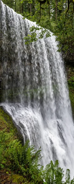Lower South Falls Silver Falls State Park — Stock fotografie