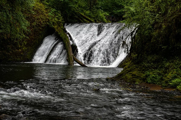 Lower North Falls Silver Falls State Park Oregon — 스톡 사진