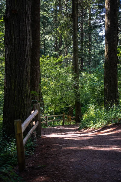 Tabor Park Portland Oregon — Foto Stock