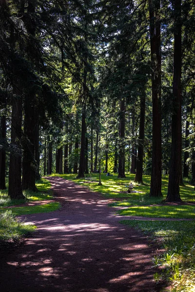 Tabor Park Portland Oregon — Foto Stock