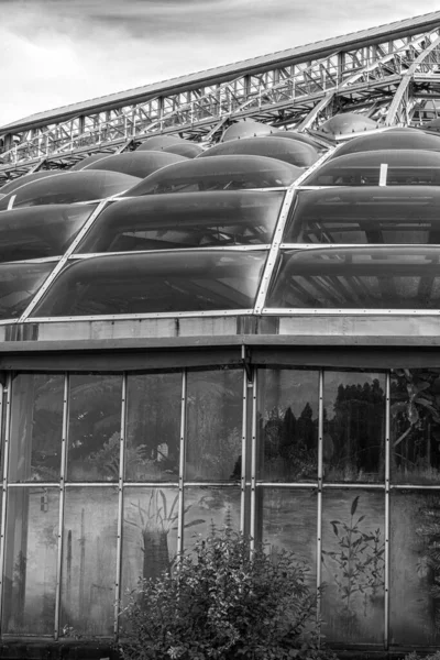 Szklane Szklarnie Ogrodzie Botanicznym Berlin Niemcy — Zdjęcie stockowe