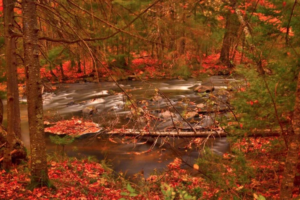 Waters Ontonagon River Waterway Leading Frozen Time Exposure Make Cotton — Stock Photo, Image