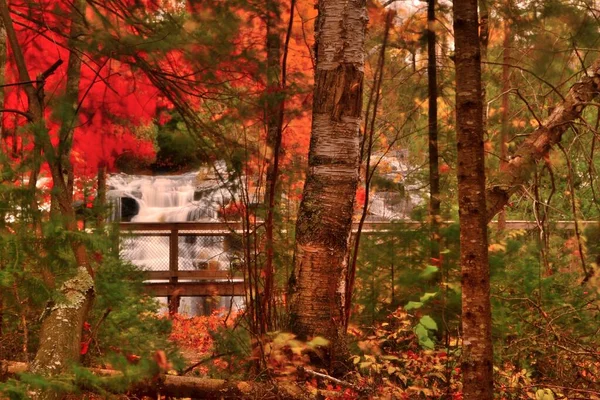 密西根州邦德瀑布瀑布周围的秋天色彩 自然之美与时间接触使海水平静 透过树干和鲜亮的橙色树叶 你可以看到流水在流动 — 图库照片