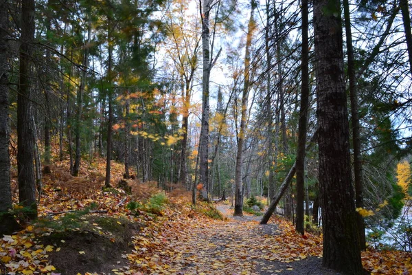 Walkway Παράλληλα Ontonagon Ποταμού Πάνω Από Bond Falls Στην Άνω — Φωτογραφία Αρχείου