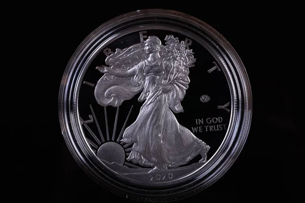 Anverso Nueva Edición Conmemorativa 2020 Usa Silver Eagle Limited Edition — Foto de Stock