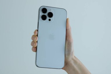 iPhone 13 Pro Max in Silver. 