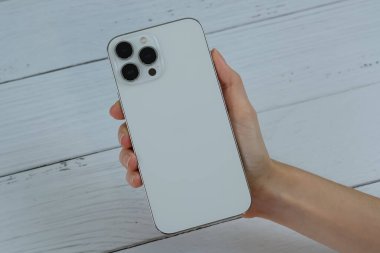 iPhone 13 Pro Max in Silver. 