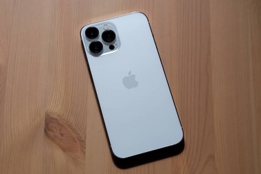 iPhone 13 Pro Max in Silver. 