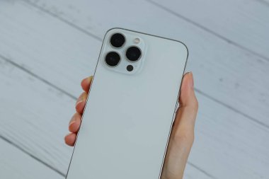 iPhone 13 Pro Max in Silver. 