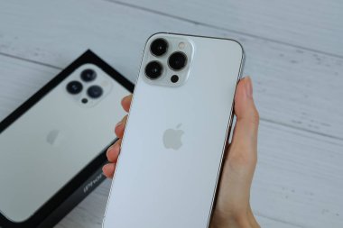 iPhone 13 Pro Max in Silver. 