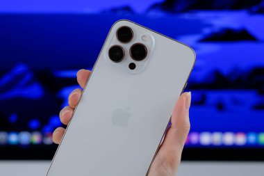 iPhone 13 Pro Max in Silver. 