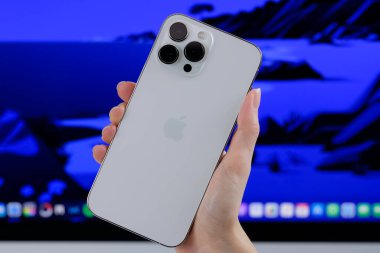 iPhone 13 Pro Max in Silver. 