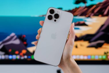iPhone 13 Pro Max in Silver. 