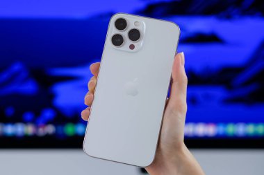 iPhone 13 Pro Max in Silver. 