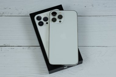 iPhone 13 Pro Max in Silver. 
