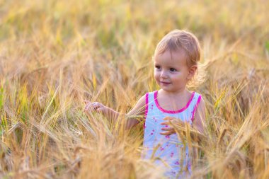 buğday alanında yürüyüş bebek
