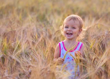 buğday alanında yürüyüş bebek