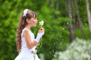 Kız darbeler uzak karahindiba