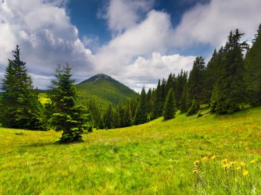 Dağlarda yaz manzarası