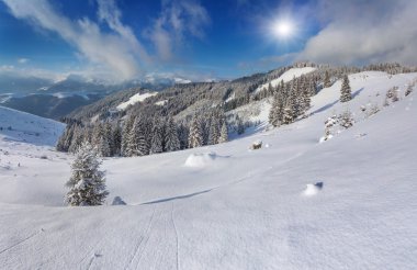 küçük Noel ağacı kış dağlarda