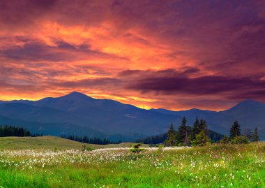 dağlarda yaz dramatik peyzaj.