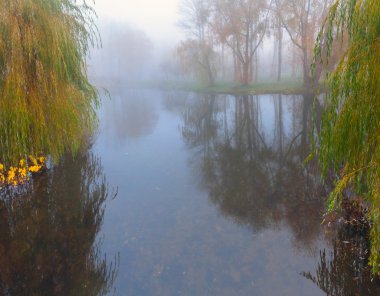 Sonbahar parkında gölet