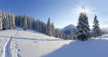 Dağlarda kış sabahı
