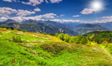 dağ çiçeği alpine meadows