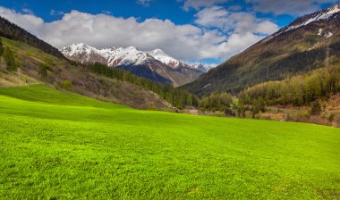 İsviçre Alpleri'nde bahar peyzaj.