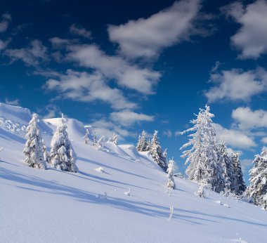 hoarfrost Dağları ile kaplı ağaçlar