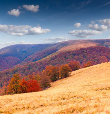 Dağlarda sonbahar manzarası