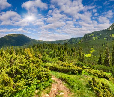 dağlarda yaz peyzaj
