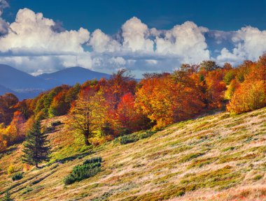 Dağlarda sonbahar manzarası