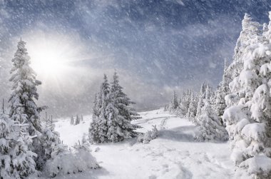 Dağlarda kar fırtınası