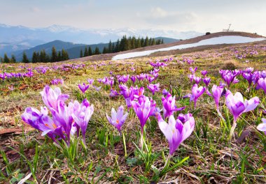 světlé srdce na klávesnici počítače zblízka